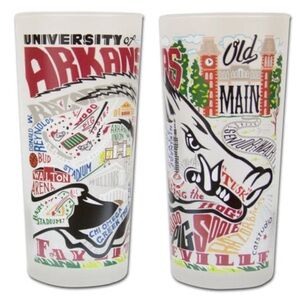 University of Arkansas Frosted Drinking Tumbler
